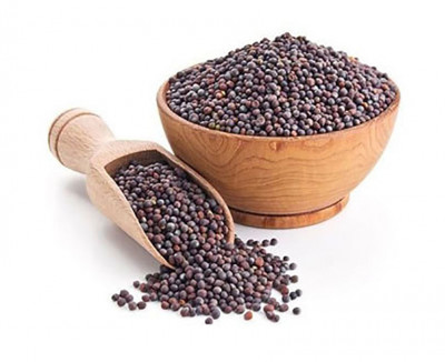 Black Mustard Seed - Buy Online Australia | Om Spice & Grocery