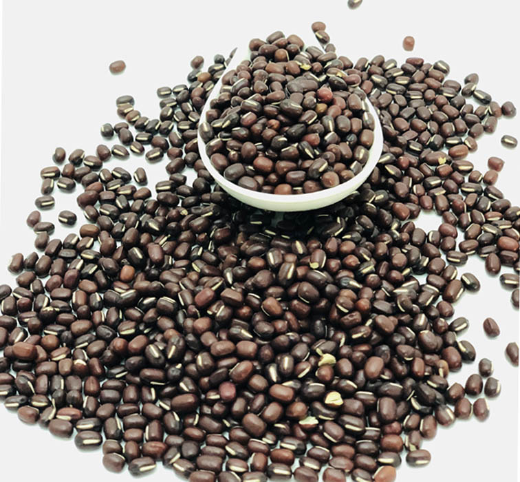 Adzuki Beans - Buy Online Australia | Om Spice & Grocery