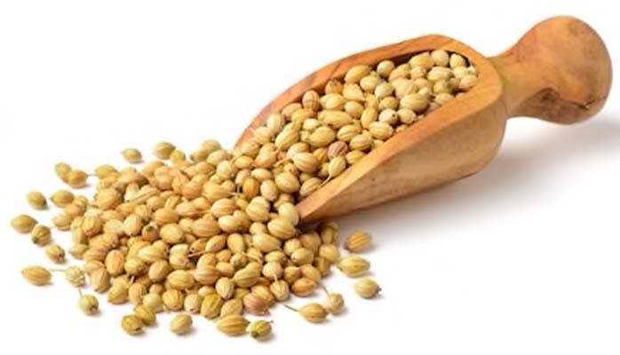 Coriander Seeds - Buy Online Australia | Om Spice & Grocery