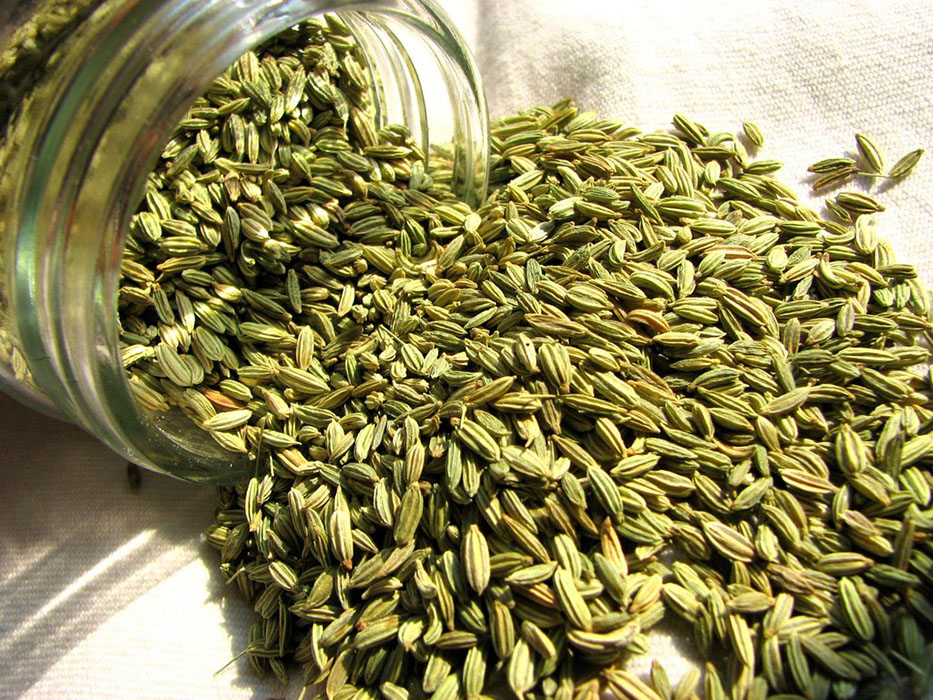 Fennel Seeds - Buy Online Australia | Om Spice & Grocery