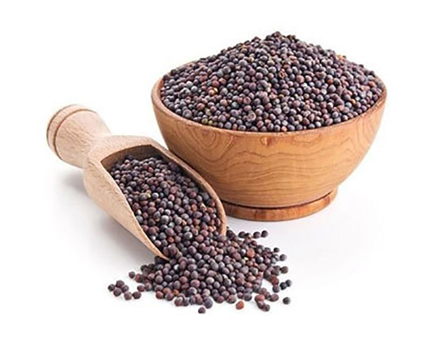 Black Mustard Seed - Buy Online Australia | Om Spice & Grocery