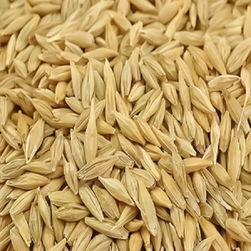 Jau - Buy Online Australia | Om Spice & Grocery