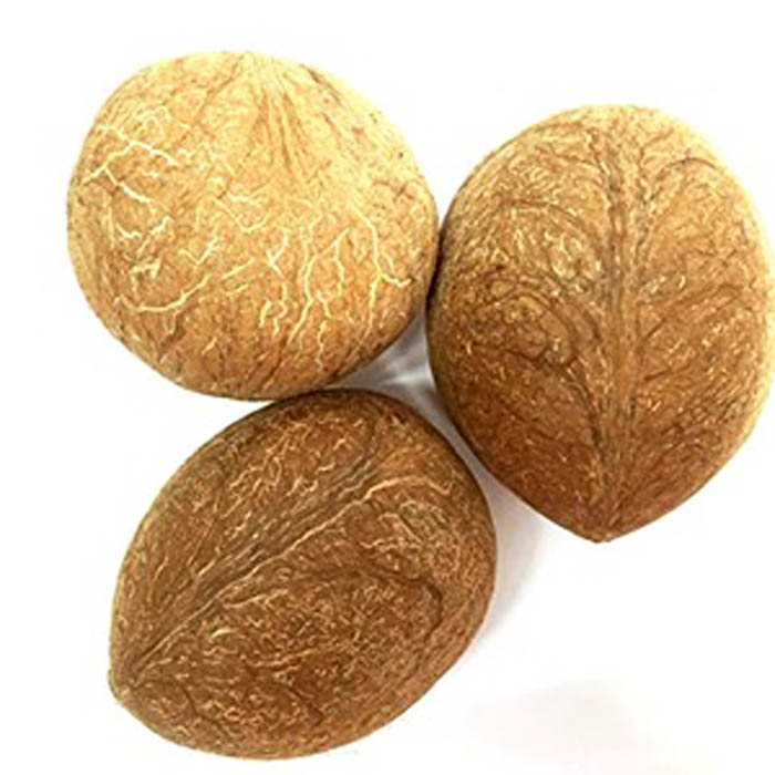 Dry Coconut Whole - Buy Online Australia | Om Spice & Grocery