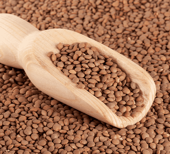 Whole Red lentils ( Masoor Whole) - Buy Online Australia | Om Spice & Grocery