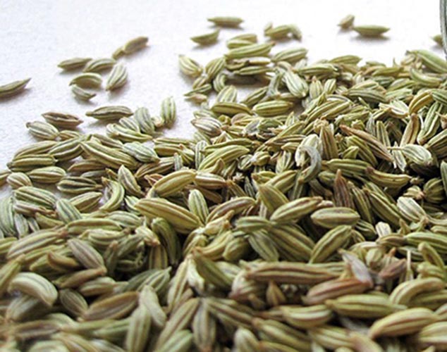 Fennel Seeds - Buy Online Australia | Om Spice & Grocery